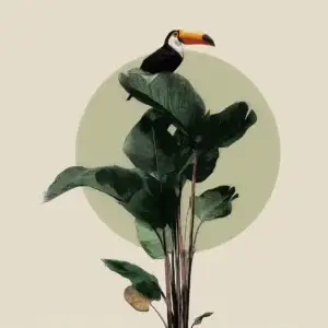 Toile tendue murale Toucan perché, deuxième visuel