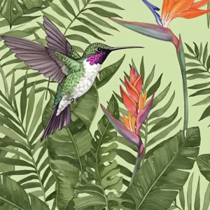 Toile tendue murale Colibri Joli, deuxième visuel