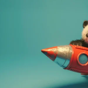 Toile tendue murale Panda Rocket, deuxième visuel