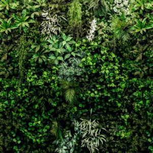 Toile tendue murale Mur végétal, deuxième visuel