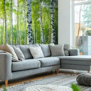 Toile tendue murale Forêt de bouleaux, posée dans un intérieur
